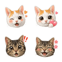 Cute White & Tabby Cat Emoji