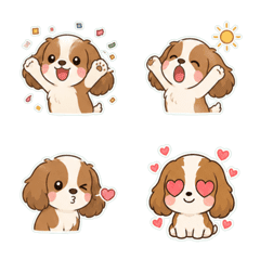 騎士查理王犬奶油色鹽系 1