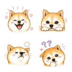 Cute Shiba "Okoto"