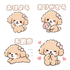 HUWAHUWA toy poodle