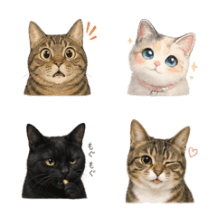 40 Realistic Cat Pattern Emojis