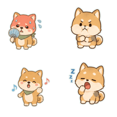 柴犬混血奶油色鹽系 1