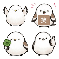 shimaenagako