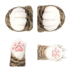 so cut cat's hand