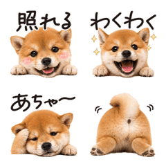 Shiba Inu emojis that convey emotions