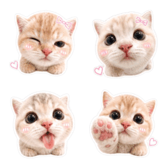 Cute Animal Emoji 06
