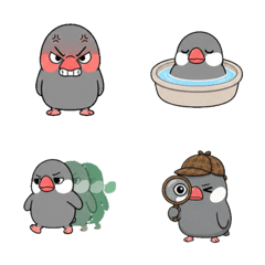 文鳥微妙 1＋