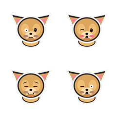 吉娃娃犬 顏微妙 1◎