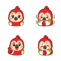鸚鵡 暖心溫和 1♡