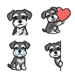 Miniature Schnauzer S&P Emoji Reaction1