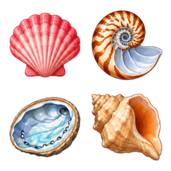 海灘貝殼