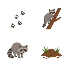 Curious Trash Panda