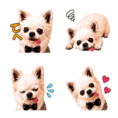 Chihuahua as an emoji
