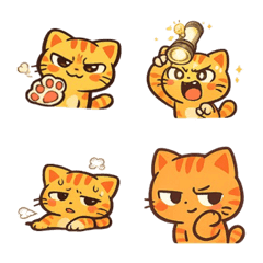 Chaotic Tiny Orange Cat