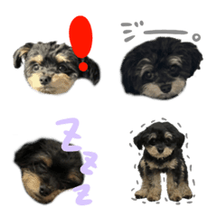 pgjadmttqjadwtpjad