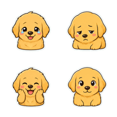 黃金獵犬 懶臉寬鬆臉 1◎
