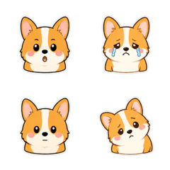 柯基犬 懶臉寬鬆臉 1♡