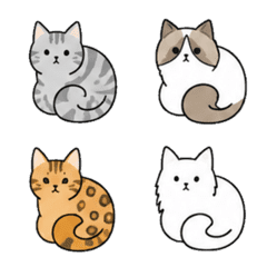 CCCat