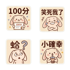 長耳兔兔的日常生活