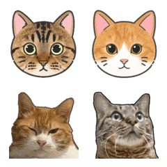 CHO oyobi  KICO Emoji