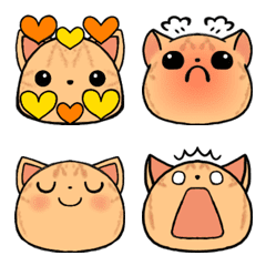 red tabby kitten after a long time Emoji
