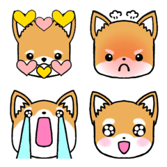 cute Shiba Inu after a long time Emoji