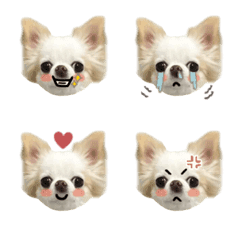 popo_emoji