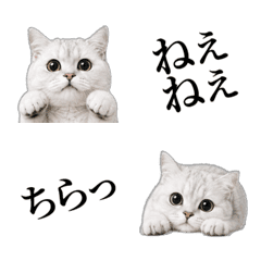 Meow! Emotion Cat Emojis