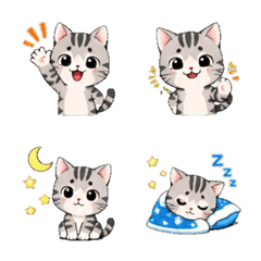 american shorthair Daily Emoji