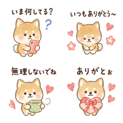 Round Shiba Inu for Everyday Use 4