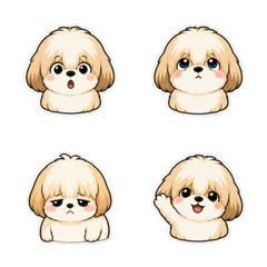 西施犬 懶臉寬鬆臉 1◆