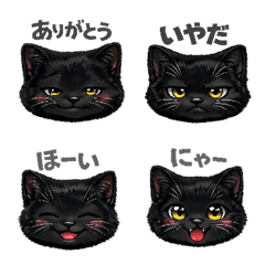 Black cut cat