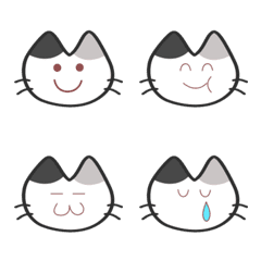 Peko's cat16