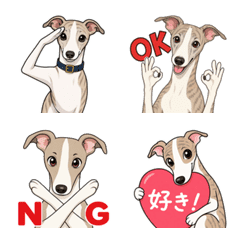 Whippet Daily Emojis