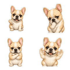 法國鬥牛犬小手回覆1