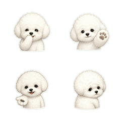 比熊犬小手回覆1