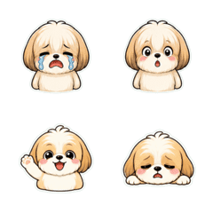 西施犬表情 1※