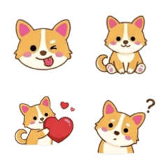 Chubby Shiba