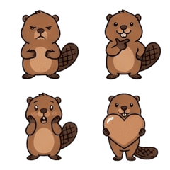 Busy Beaver Daily Life