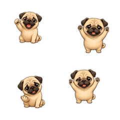 巴哥犬小手回覆1