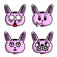 The Rabbit in your house