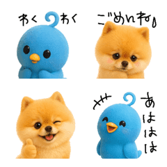 Super cute Pomeranian emoji