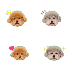 kumamochu