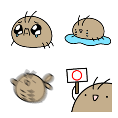 章同學