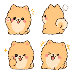 Muffin the Pom