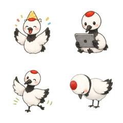 丹頂鶴 心情無字 1※