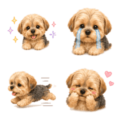 Everyday Fluffy Yorkie Emojis