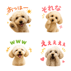 Toy Poodle emojis Daily