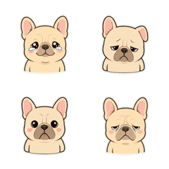 法國鬥牛犬表情 1♫