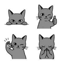 Cool and Stylish Gray Cat